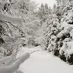 Podskali Adrspach